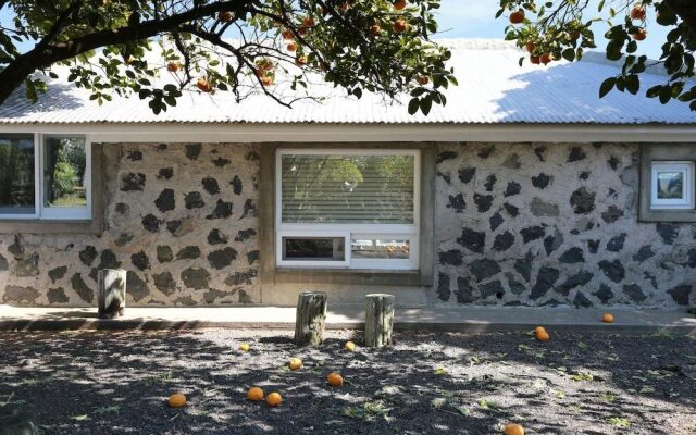 Soofeel House