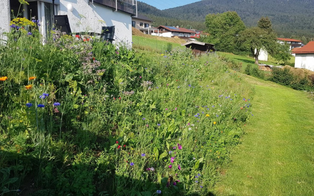 Wohnung Wiesengrün - Osserblick