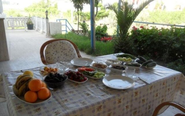 Delfin Hotel Gazipasa