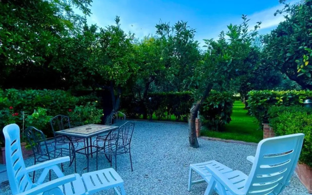 Il Giardino Di Athena