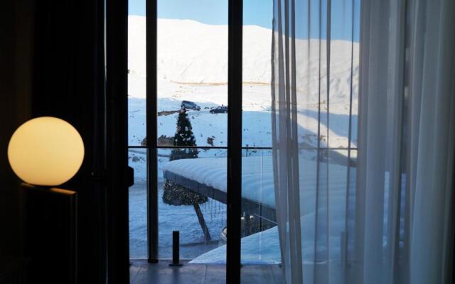 Atrium Apartment 245