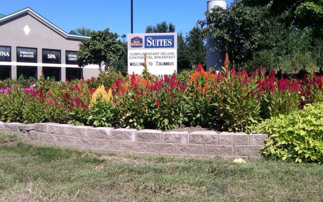 Best Western Suites