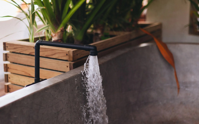 Naked Hotel Zipolite