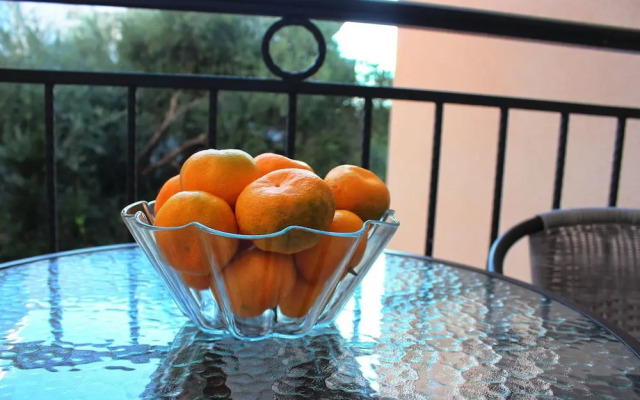 Balabusic One Bedroom Apartment No.6