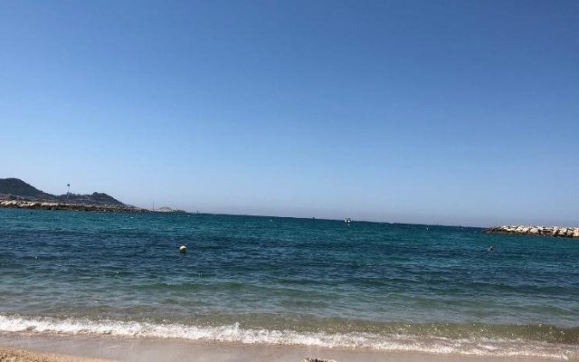 La palmeraie