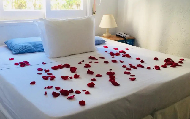 Blu inn punta del este