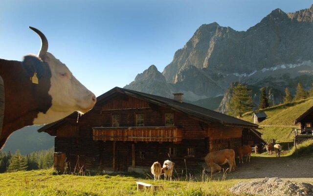 Alpenblick Apartments