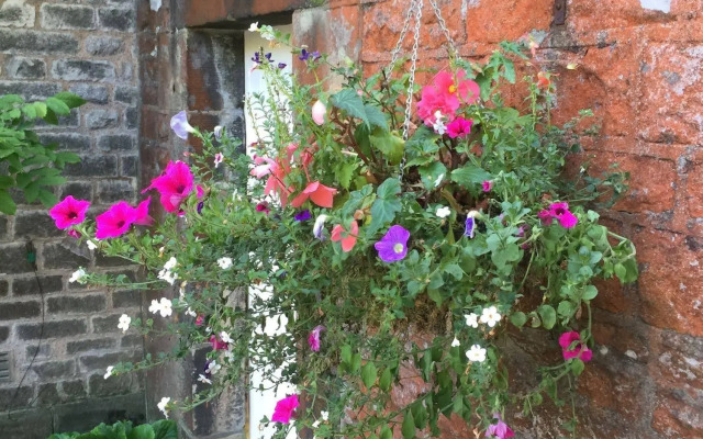 The Old Vicarage B&B