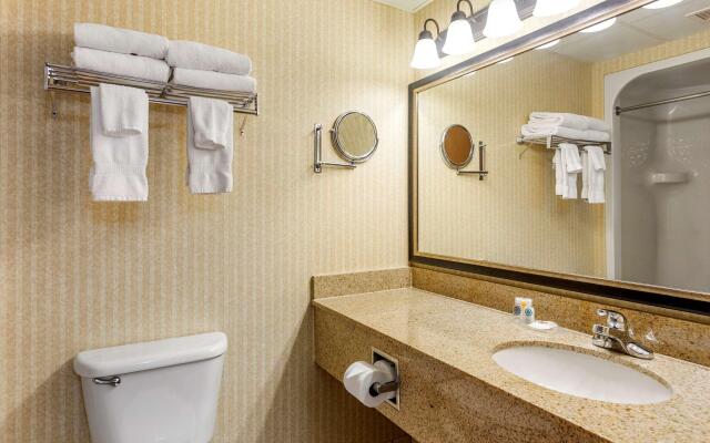 Comfort Inn & Suites Branson Meadows