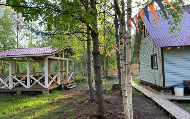 Вереск на локации Песчаный