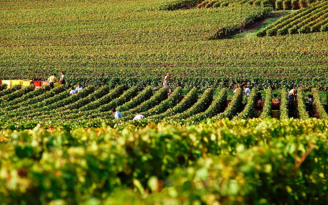 ibis budget Reims Thillois