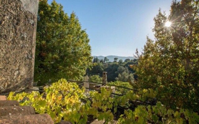 Property With 5 Bedrooms in Mouans-sartoux, With Wonderful Mountain Vi