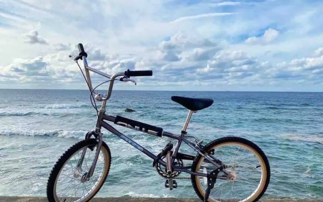 Blue Steak Wonder Chatan