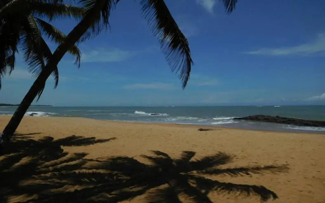 Alberta's Palace Beach Resort