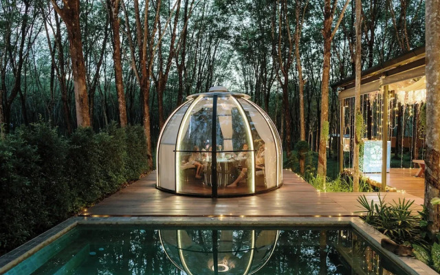 Timber Society Boutique Hideaway