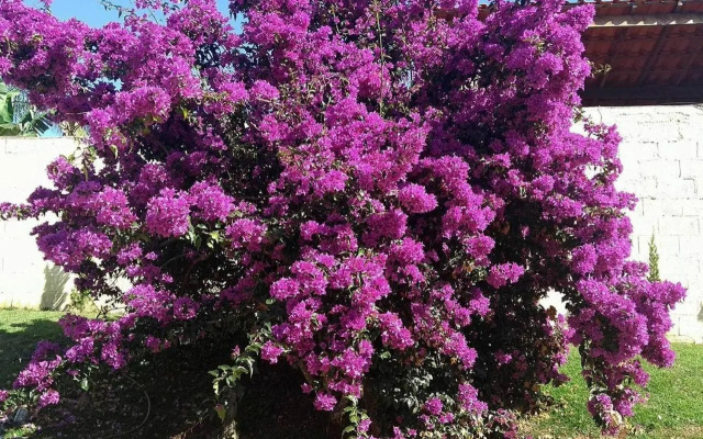 Pousada Vale das Primaveras