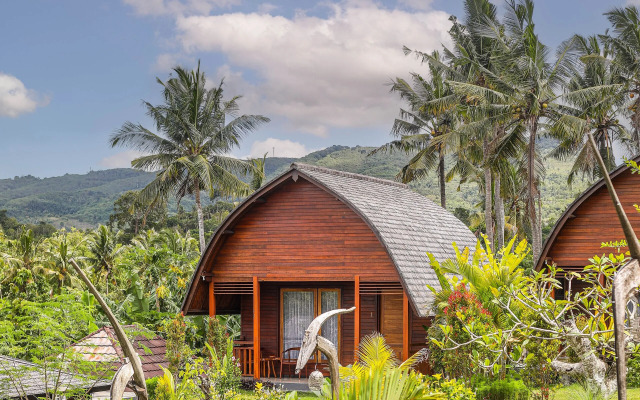 The Kleep Jungle Resort