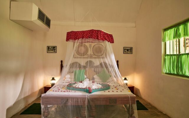 Amuna Ayurveda and Wellness Retreat