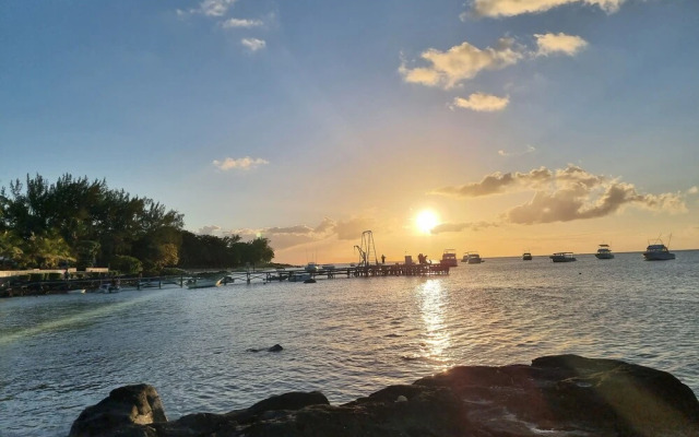 Residence La Colombe Vacation Rentals