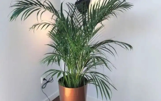 Vista do Mar Comfortable Holiday Residence