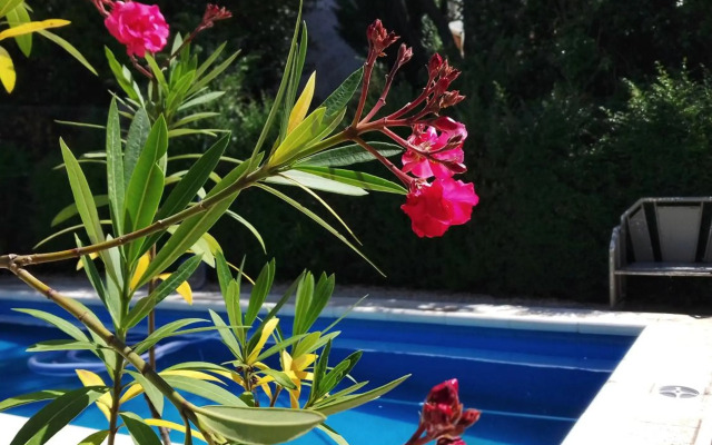 Mariposas del Parque