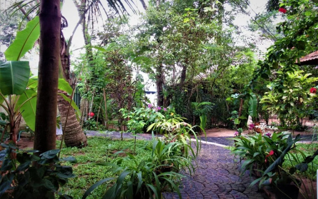 Marari Dreamz Bed and Breakfast
