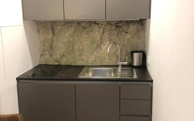 Apartment am Hallstätter See