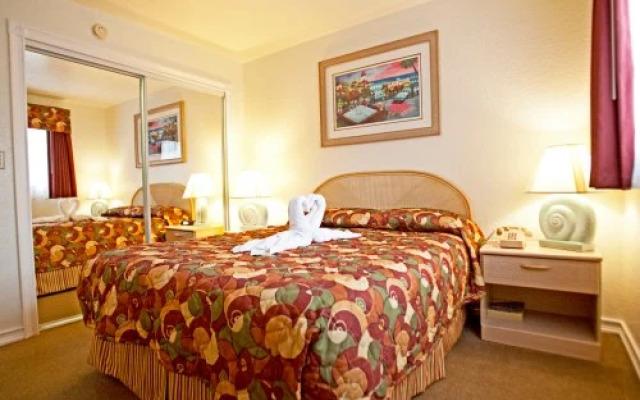 Gevc At Club Sevilla, Kissimmee, Usa