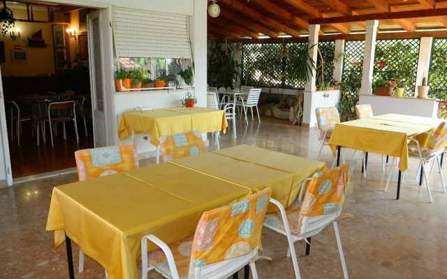 Apartment and Room Darinka