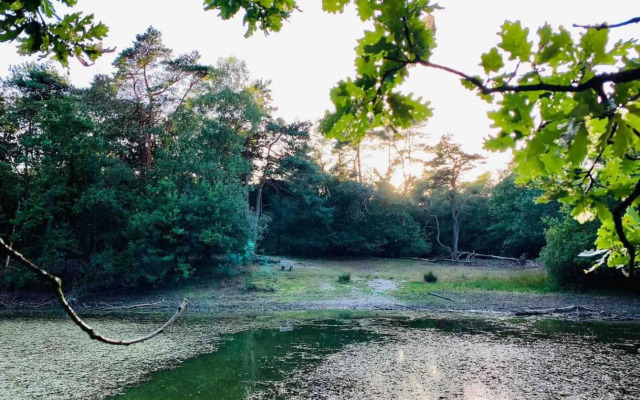Zonnebos, private garden, fresh air, relax!