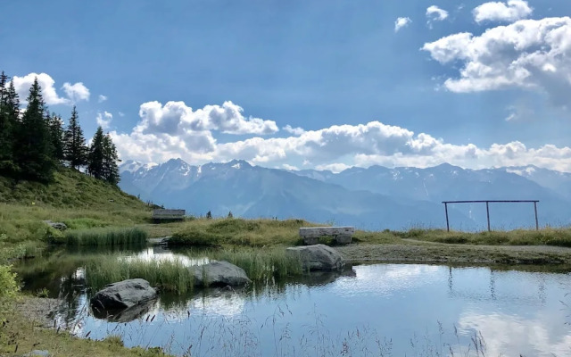 Panorama-chalet Top 7 With Sauna Directly at the ski Area