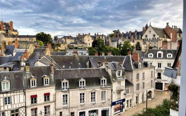 ☆ Sur les toits de Blois ☆ T2 avec vue Château