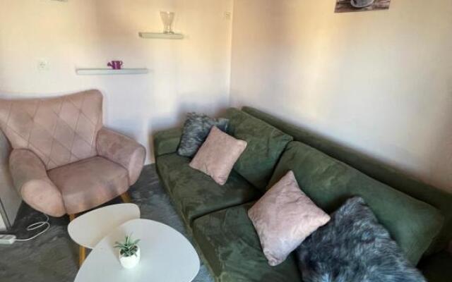 Apartment Cactus 021