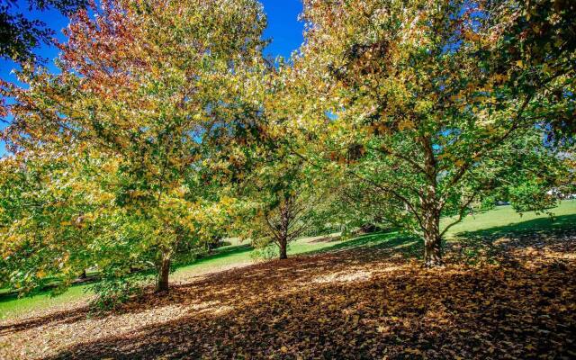 Avoca Valley Bed & Breakfast
