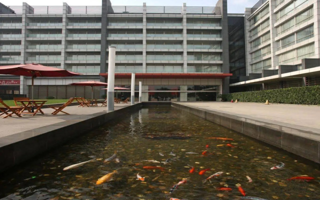 Hotel Kapok