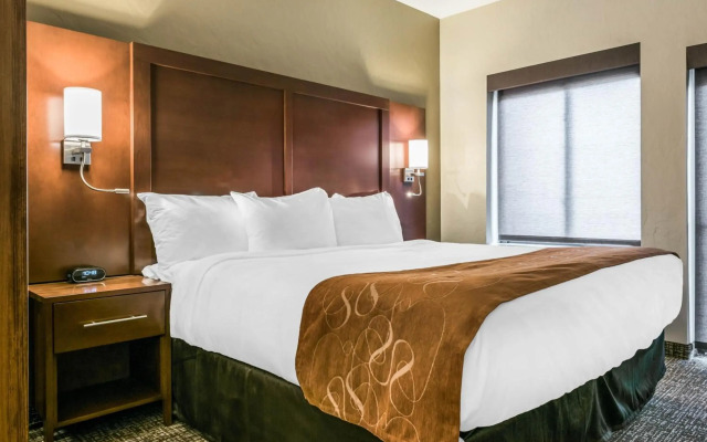 Comfort Suites Florence - Cincinnati South