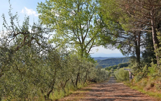 San Vivaldo Nr 11 San Vivaldo