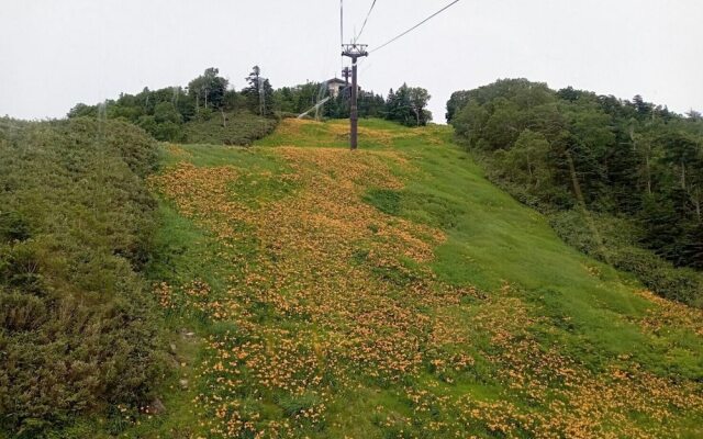 Holiday Plaza Shigakogen