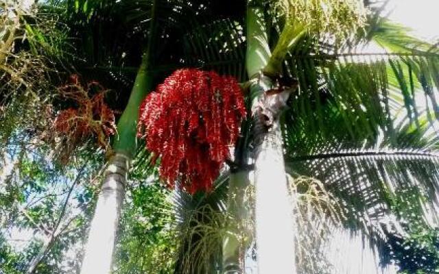 Whitsunday Cane Cutters Cottage