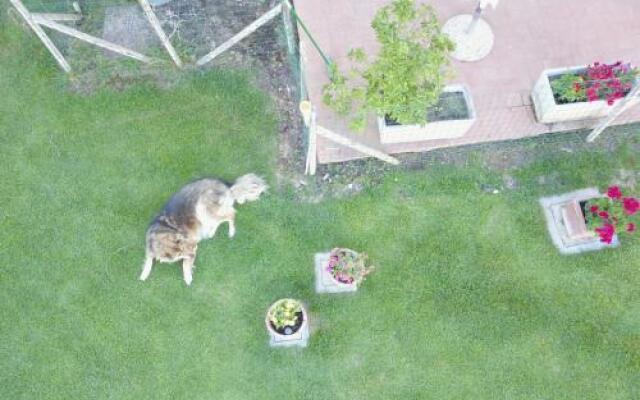 Agriturismo Il Poggiolo