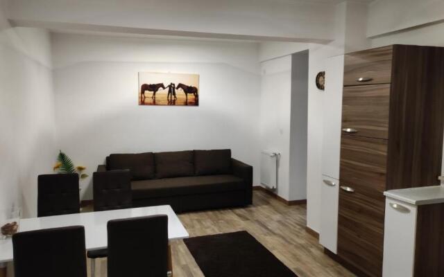 Apartament Lenus'k