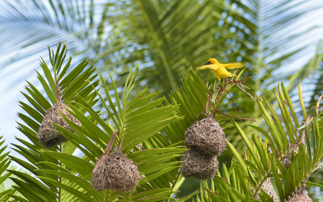 Hakuna Majiwe Beach Lodge