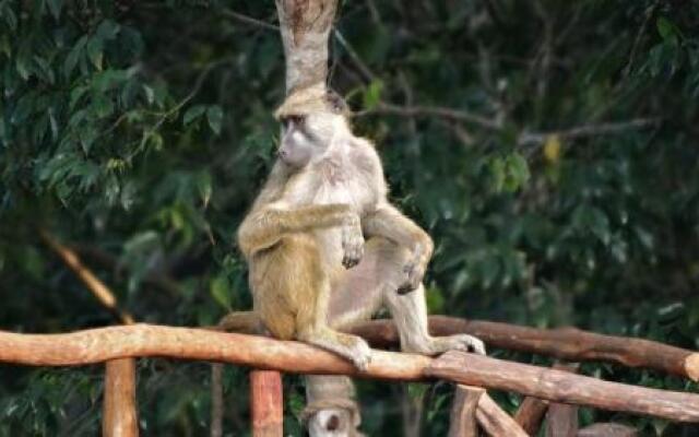 Shimba Hills Lodge