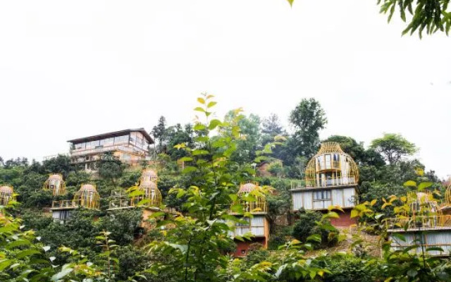 JiangShen Grass Pavilion