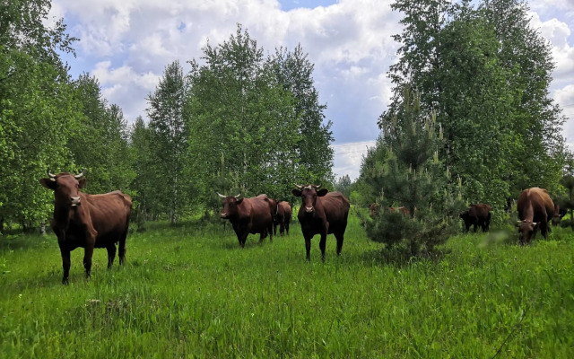 Усадьба Красивая