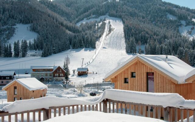 Chalet in Hohentauern / Styria With Sauna