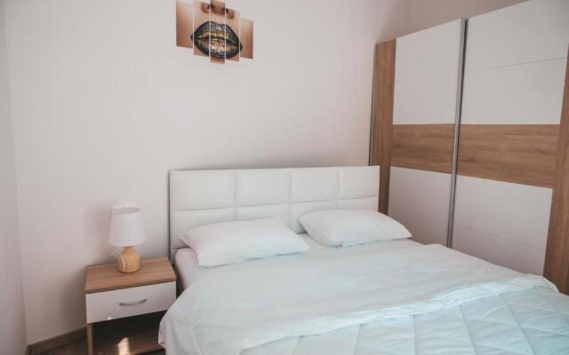 Comfortable apartment in the city center