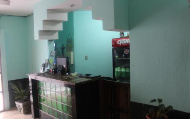 Hotel Green Monkey - Hostel