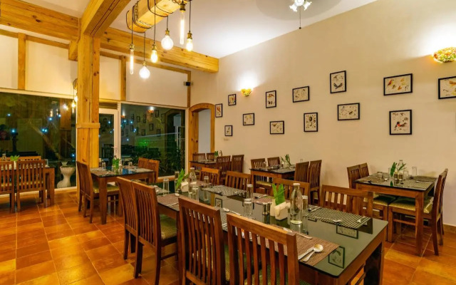 Tea Harvester Munnar