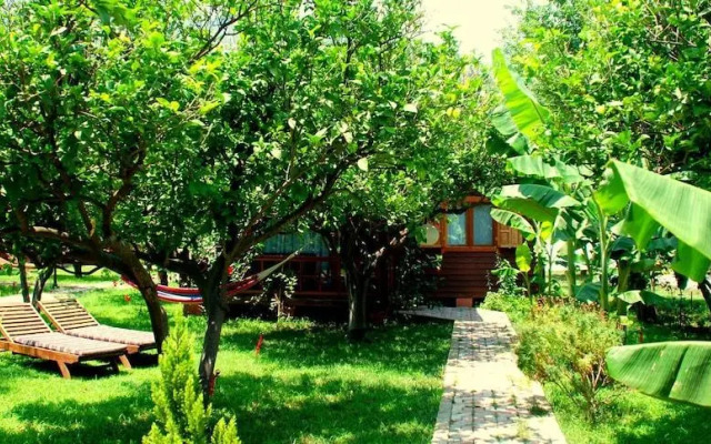 Baraka House